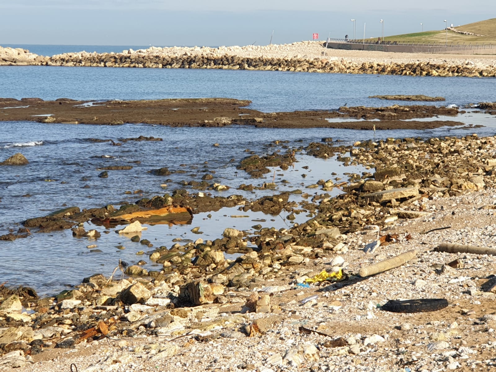 WhatsApp Image 2020-01-27 at 9.00.45 AM.jpeg.jpeg